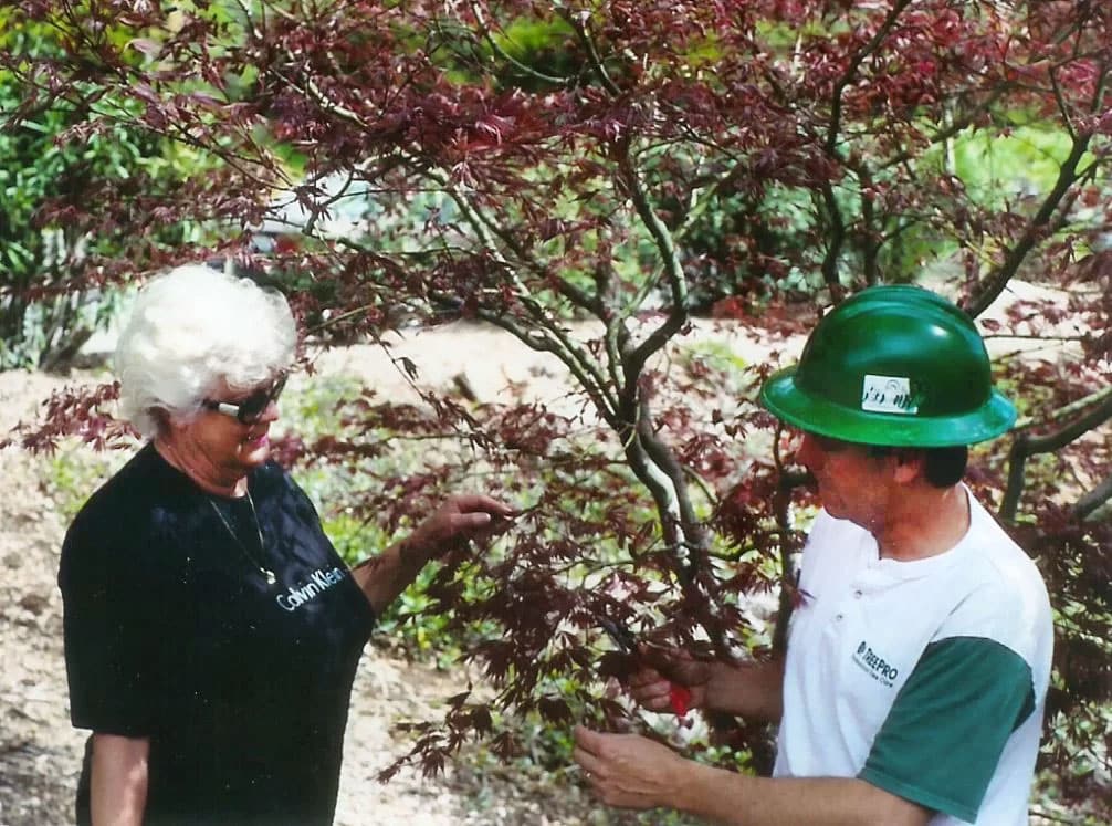 Tree Fertilization and Soil Managment - Tree Consulting Services - TreePro Sonoma