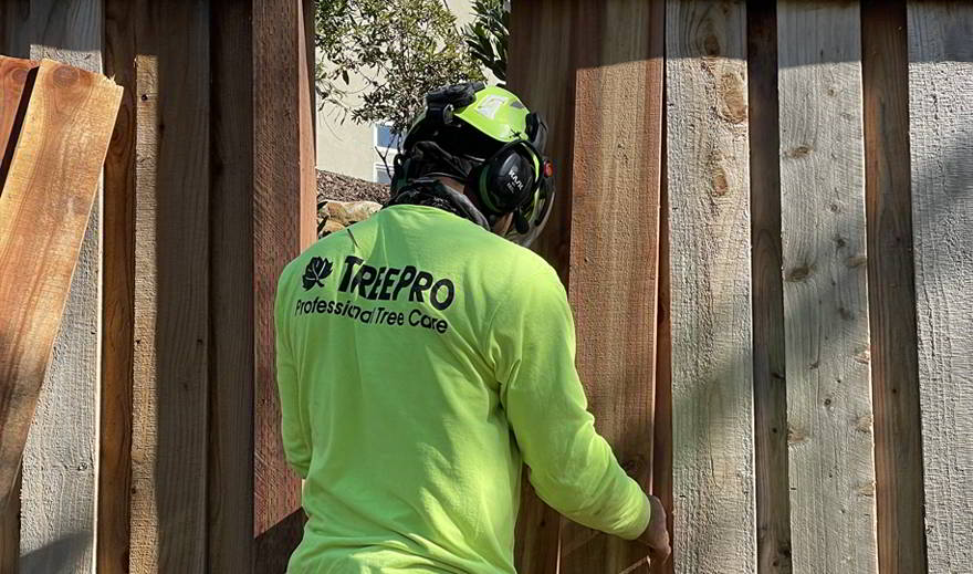Fence Construction And Repair - Santa Rosa Tree Care Services