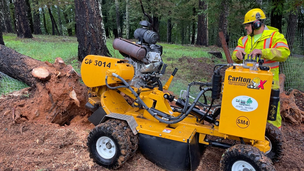 Stump Grinding - Tree Care Services