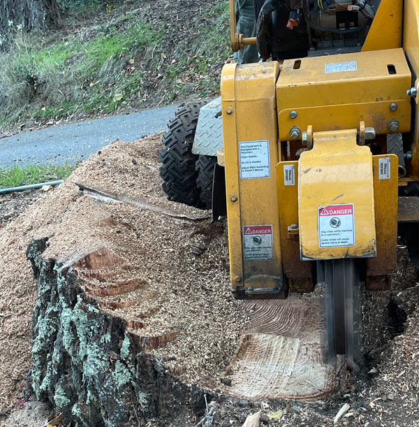 Stump Grinding - Tree Care Services - TreePro Sonoma