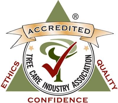 Ron Wallace, TreePro Sonoma Tree Care Services - Accredited Member, Tree Care Industry Association