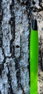Mediterranean Oak Beetles exit holes - TreePro Sonoma Blog